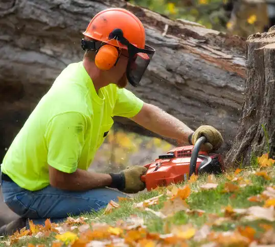 tree services Sherman